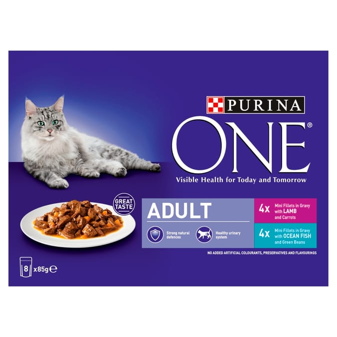 Purina one cat food pets hot sale at home