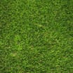 Wentworth: Artificial Grass 40mm (Various 2m Sizes Available)