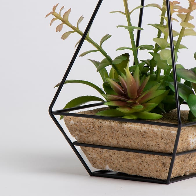 Ports of Call by Jeff Banks Succulent In Black Prism, decoration