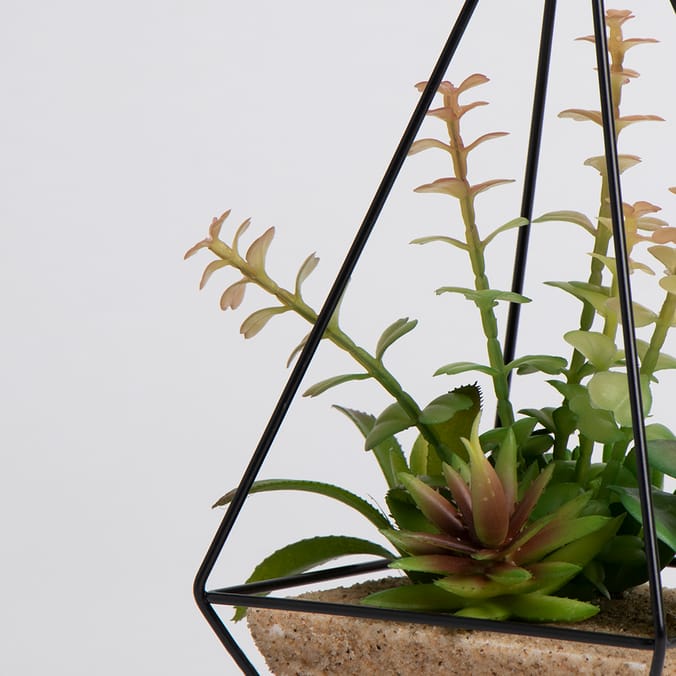 Ports of Call by Jeff Banks Succulent In Black Prism, decoration