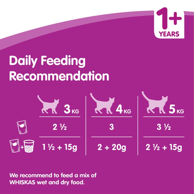 How many pouches of 2025 kitten food per day