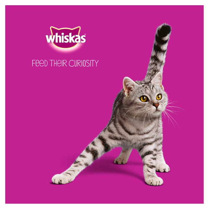 Whiskas 80 outlet pack