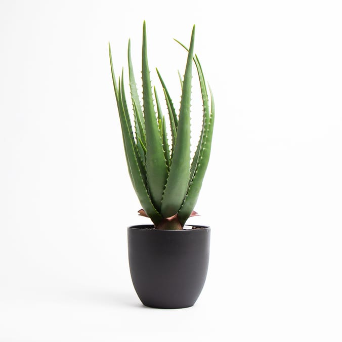 Home Collections 55cm Artificial Aloe Indoor Plant, plants, faux fake