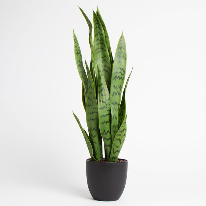 Home Collections Faux Snake Plant in Black Pot artificial fake not