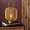 Home Collections: Gold Mesh LED Lantern