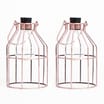 Firefly: LED Wire Frame Lantern Solar Light - Black (Case of 2)