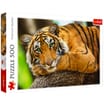 Trefl: Premium Quality 500 Piece Puzzle