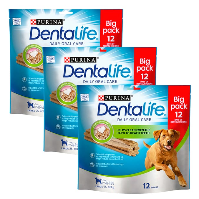 Purina dentalife large sale