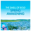 Bold All-in-1 Pods Washing Liquid Capsules Spring Awakening 45 Washes