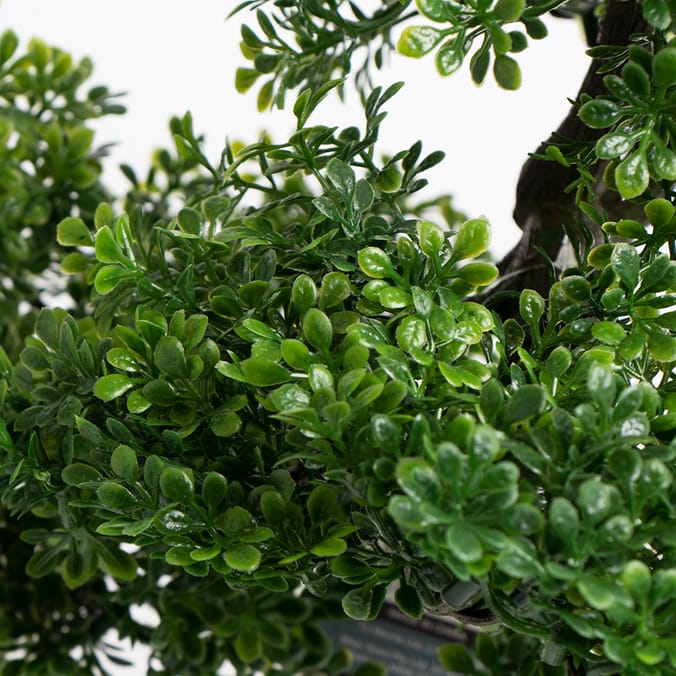 Home Collections Bonsai Tree, artificial plants trees bonsais bonsai's