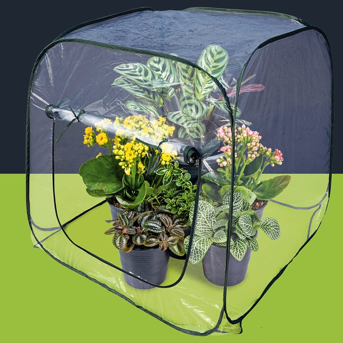 Jardin PopUp Greenhouse, gardening plants care caring, planting, small spaces, 100 x 100cm