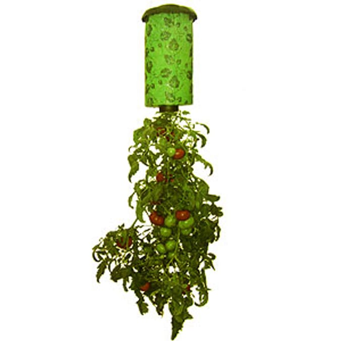 Upside Down Tomato Planter Home Bargains