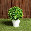 Garden Artificial Topiary in Ceramic Pot