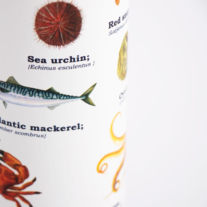 Gift Republic Sea Life Vacuum Flask 500ml Home Bargains