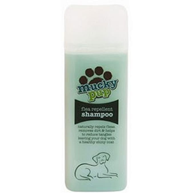 Home bargains cheap dog shampoo