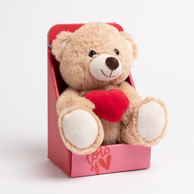 Teddy bear hot sale home bargains