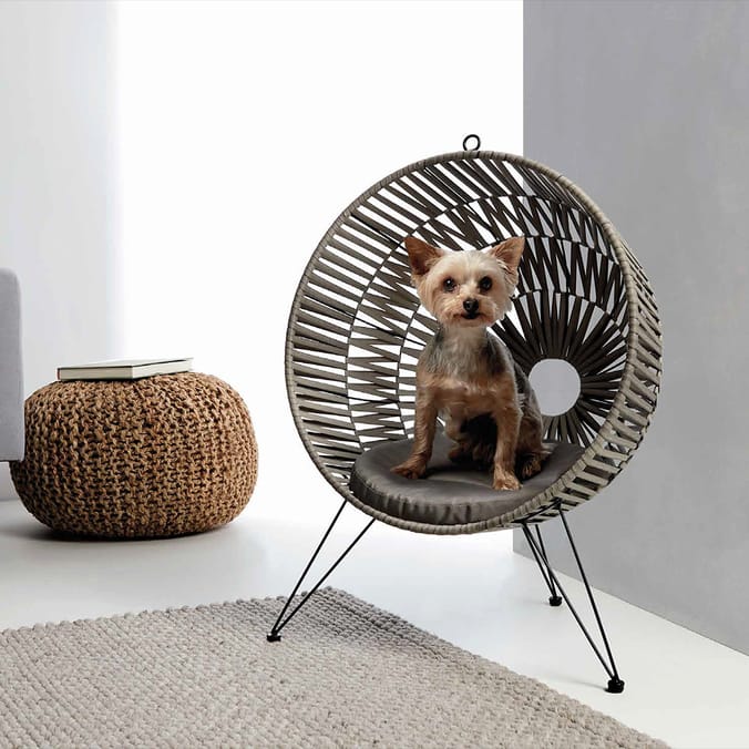 Pet chair best sale