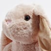 Spring: Bunny Plush - Brown