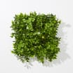 Jardin: 4 Deluxe Artificial Foliage Panels