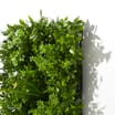 Jardin: 4 Deluxe Artificial Foliage Panels