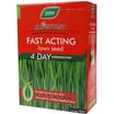 Westland Surestart Fast Acting Lawn Seed 330g Box