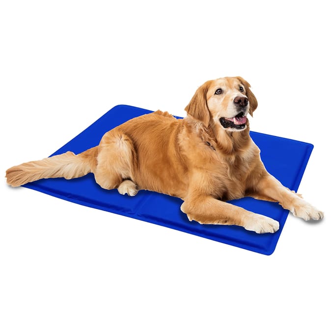 Cool mats for dogs pets 2024 at home