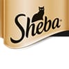 Sheba