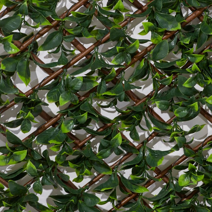 Jardin Artificial Lorrel Leaf Fence, Jardin, Lorrel leaf fence, leaf