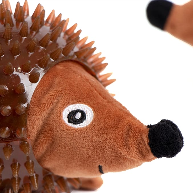 My Pets Play! 2 Fetch And Retrieve Hedgehogs, dog, dogs, puppy