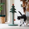 Festive Paws: Festive Cat Scratcher