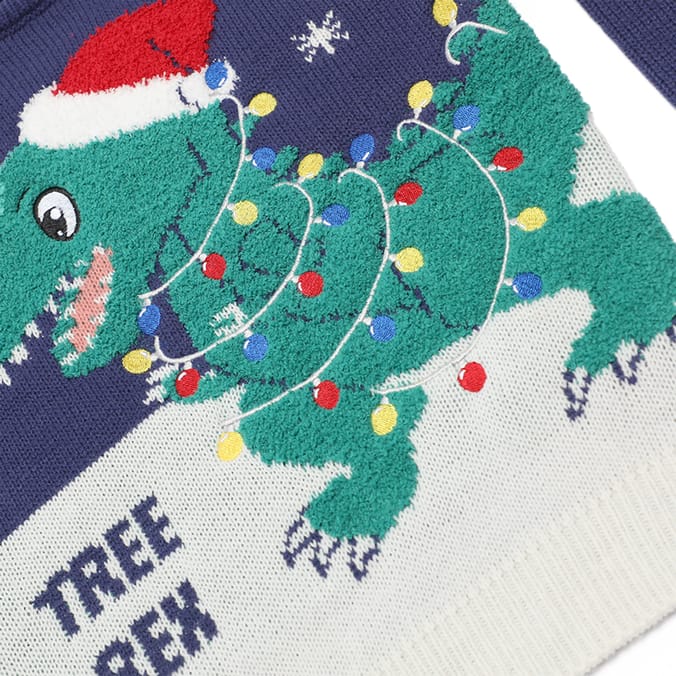 Boys dinosaur christmas jumper best sale