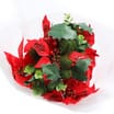 Home Collections: Poinsettia Bouquet