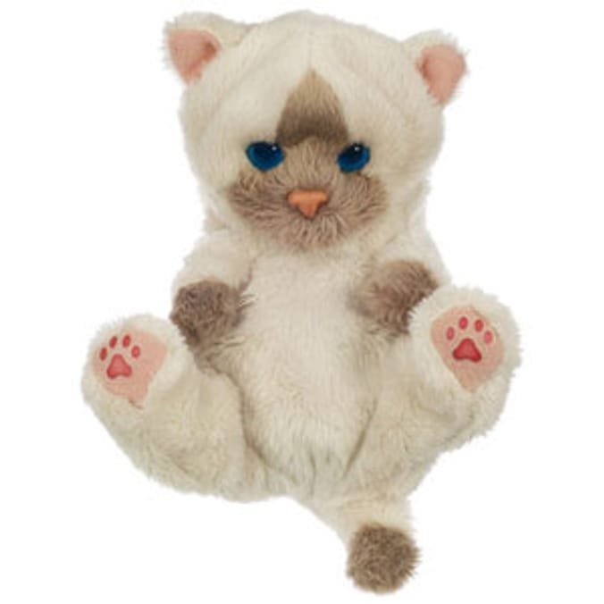 Furreal friends newborn kitten best sale