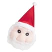 Festive Fun: Santa Novelty Head - Adult