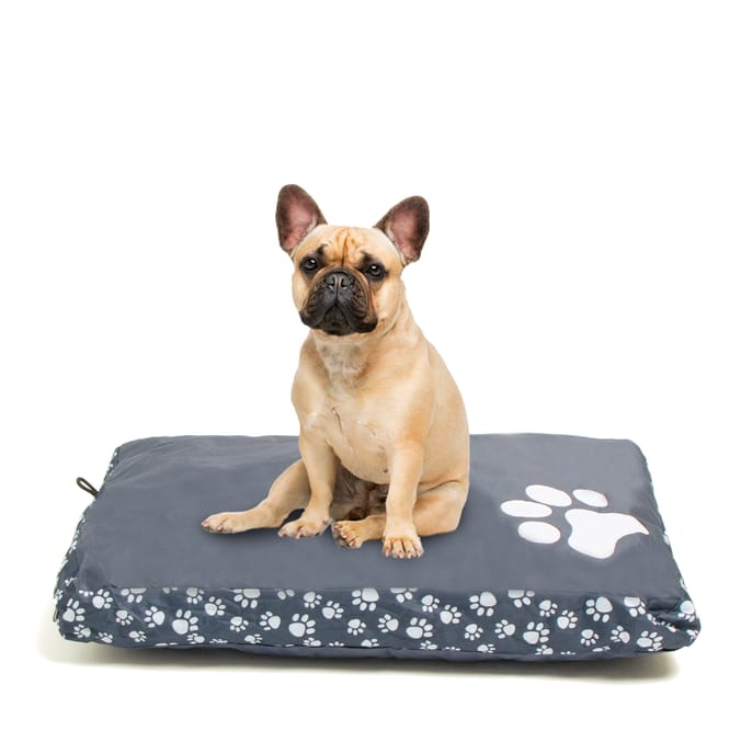 Memory foam dog bed home bargains sale