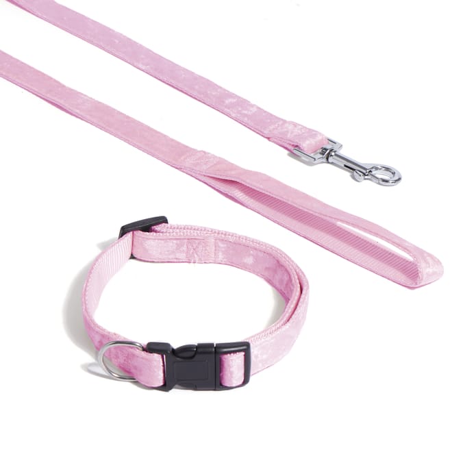 Pets at home clearance dog collars and leads