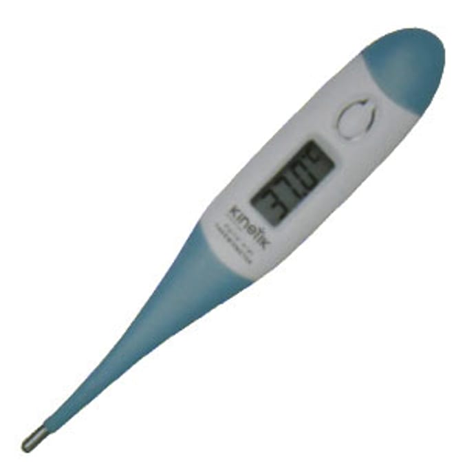 Digital Thermometer Home Bargains
