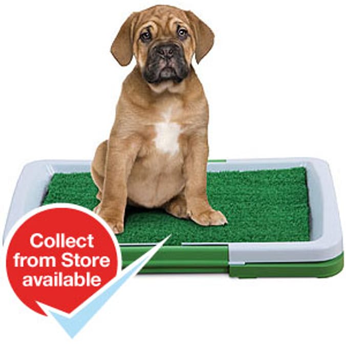 Home bargains hot sale puppy pads